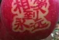 结婚35年报警50次,结婚 35年