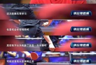 樊振东VS林诗栋,樊振东vs林诗栋交手历史记录