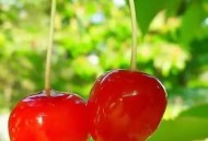 橘子助眠苹果安神,橘子和苹果的寓意？