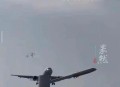 客机空中与鸟群相撞,为什么鸟群会袭击飞机？