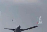 客机空中与鸟群相撞,为什么鸟群会袭击飞机？