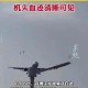 客机空中与鸟群相撞,为什么鸟群会袭击飞机？