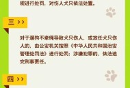遛狗不拴绳拘10天,遛狗不拴绳拘留