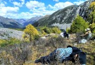 硕士川西徒步去世,川西徒步穿越