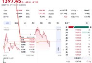 半导体产业链拉升,白酒拉升，白酒基金还可以持有吗？半导体、军工基金怎么办？