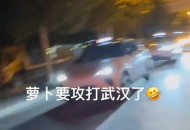 萝卜快跑周单超25万,萝卜快跑是什么？