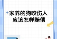 儿子被家中狗咬身亡,儿子被家中狗咬身亡怎么赔偿