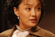 著名导演翟俊杰逝世,大决战翟俊杰哪一年拍的？