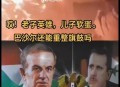 叙利亚前总统迷游戏,档案叙利亚前总统