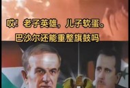 叙利亚前总统迷游戏,档案叙利亚前总统