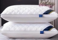 五星酒店枕头现黄渍,清洗枕芯黄渍的方法？