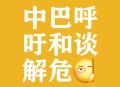 和平解决乌克兰危机,巴西总统重申支持和平解决乌克兰危机