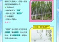 杨柳明日或登陆我国,“——————。”是啊燕子去了有再来的时候杨柳姑了有再青的时候桃花谢了有再红的时候我们的日子？