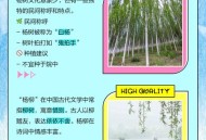 杨柳明日或登陆我国,“——————。”是啊燕子去了有再来的时候杨柳姑了有再青的时候桃花谢了有再红的时候我们的日子？