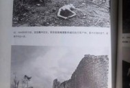 日本被拖入国家危机,十九世纪六七十年代，我们的邻国俄国和日本分别面临什么社会危机，它们各自又是通？