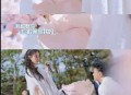 黄子韬回应婚礼时间,黄子韬有没有参加陈晓婚礼？
