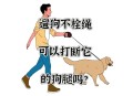 遛狗伤人将被拘罚款,遛狗违规怎么处罚？