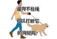 遛狗伤人将被拘罚款,遛狗违规怎么处罚？