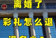 嫌妻吃得多要退彩礼,男子嫌妻子4年没怀孕起诉离婚要求退10万彩礼，两人最终签订调解协议。如何从法律角度解读？