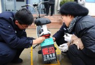 河北5人骑1辆电动车,一个人可以上几个电动自行车牌照？