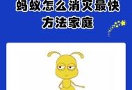 因害怕蚂蚁自杀身亡,什么情况下蚂蚁会自杀？