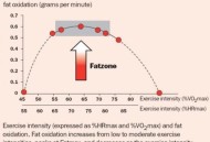 运动减肥的起效时间,运动减肥的起效时间是多久