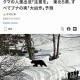 日本熊害已致13死,日本熊害事件