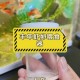 新疆沙漠盐水丰年虾,在家里怎么养丰年虾？