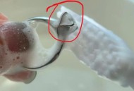 掉包36万钻戒卖17万,掉包36万钻戒卖17万违法吗