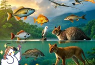 空气差到动物呼吸难,什么动物呼吸不用空气？