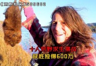 荒野求生赛报名火爆,荒野独居怎么报名？