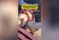 跳河救人哭着说好怕,跳河救人哭着说好怕死