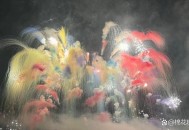 日曾拒蔡国强烟花秀,蔡国强泉州烟花秀去哪里看？