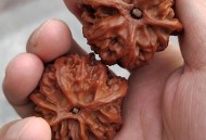 盘4年的核桃是塑料,塑料核桃能包浆吗？