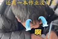 写作业睡着被扇巴掌,写作业被打