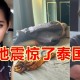 敲诈酒店获利5万,和女友住酒店被拍视频勒索怎么办?