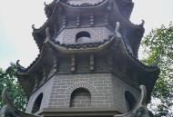 景区巨型蛇头被覆盖,为什么爬旅游景点的山都见不到蛇？