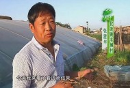 养殖户刺死供电所长,养殖户有蛆杀死后还会来一波吗？