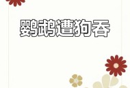 带狗进店咬死鹦鹉,带狗进店咬死鹦鹉好不好