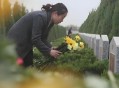 霸占侄女房子近10年,侄子霸占房子
