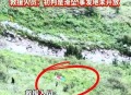 坠崖大学生确认身亡,坠崖大学生确认身亡原因