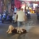 男童追打女童2分钟,合肥男子尾随男童进电梯对其暴打，朝头猛锤15次，并用脚狠踹腹部，此前两人无任何过节，警方介入, 你怎么看？