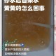 自来水现蓝色沉淀物,自来水有绿色沉淀物怎么回事？
