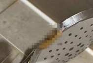 曝酒店花洒有排泄物,酒店花洒有粪便是怎么进去的？