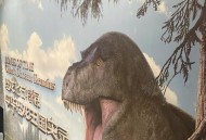 济南现恐龙形状大树,济南恐龙博物馆在什么地方？