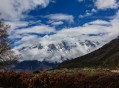 部分5A景区被抛弃,部分5a景区被抛弃的原因