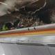 空难遇难者遗体送错,法航447空难遗体找到了吗？