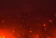 加拿大多地野火肆虐,加拿大山林野火为何失控？