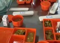 6部门曾明确预制菜,预制菜为什么进不了国营食堂？