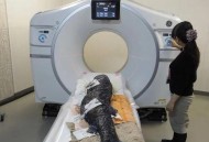 日本可能数人遭辐射,日本静冈有辐射吗？